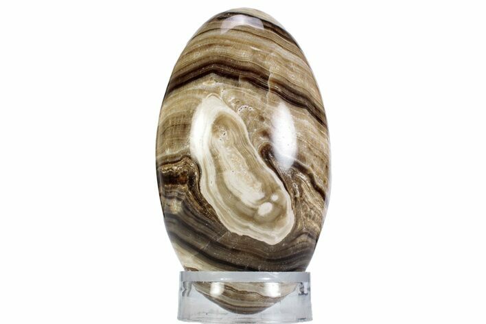 Swirling Polished Chocolate Calcite Egg - Pakistan #365815